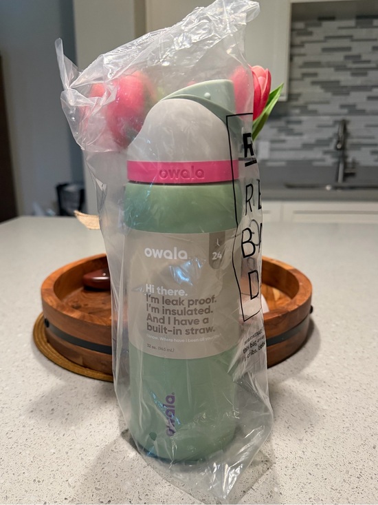 owala Other - Owala Insulated Straw Water Bottle - Sage Green with Pink Accent